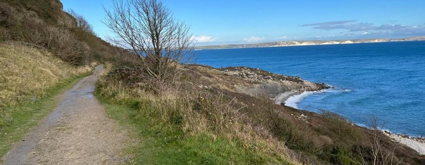 A photograph of a path and view East Weares Portland