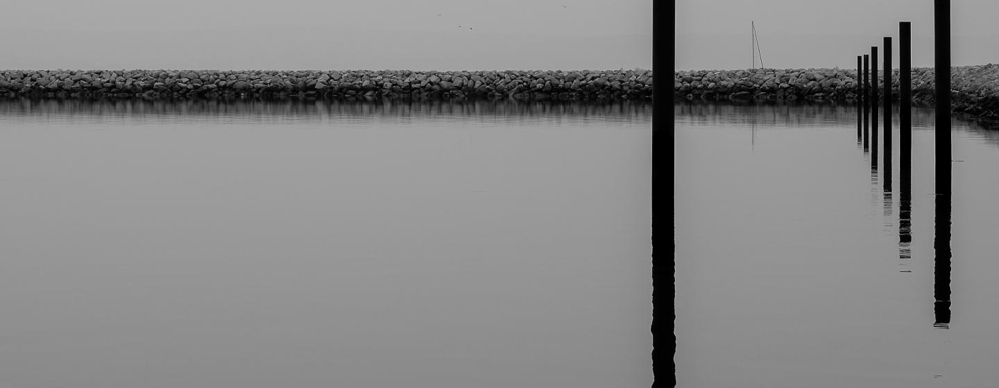 'Minimal Harbour' by Brendan Buesnel