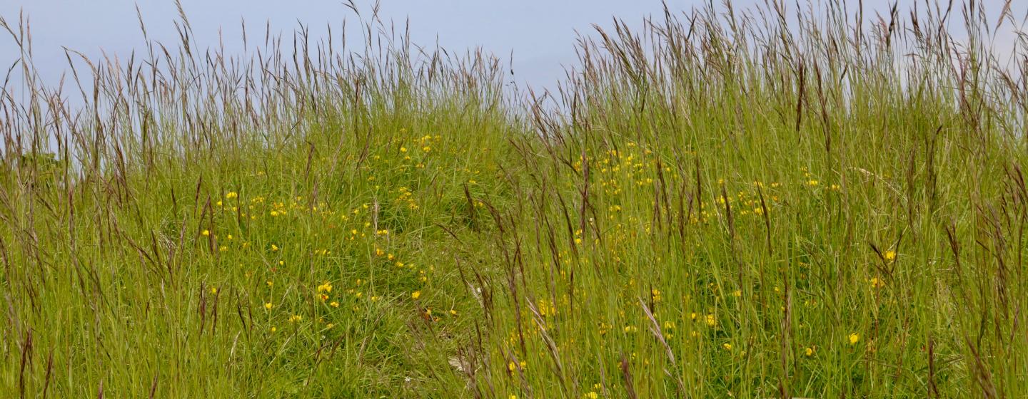 Easton Ridge National Park Tours