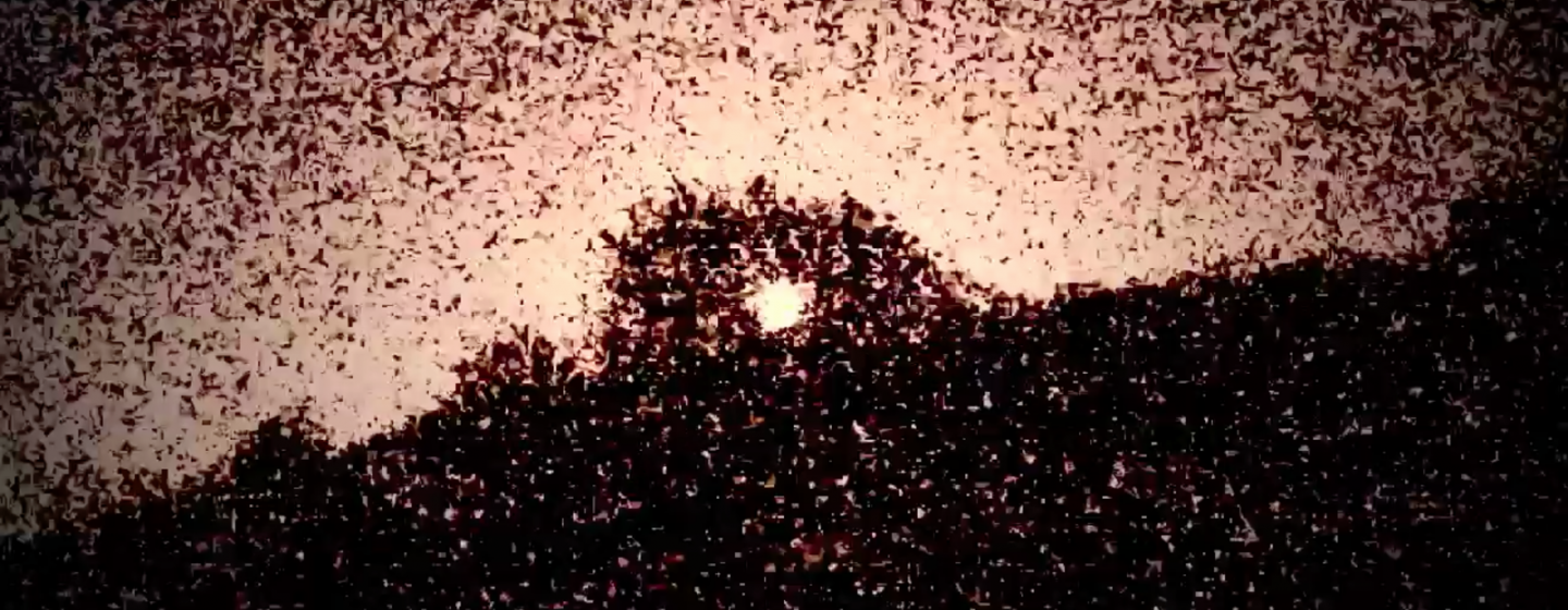 A fuzzy night time image