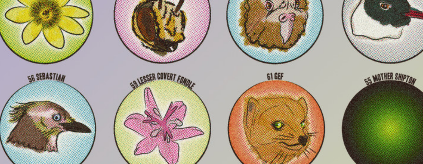 A bingo card with animals and plants