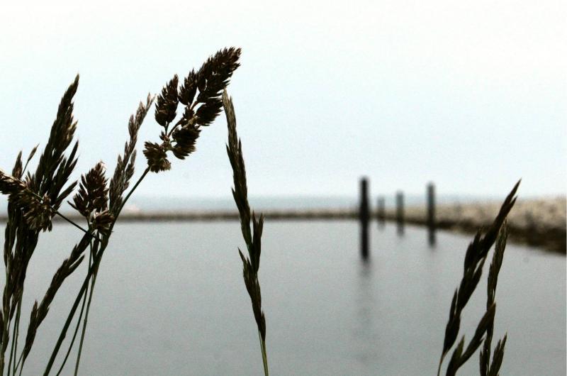 Photo by Emerging Photographer Georgina Bolt