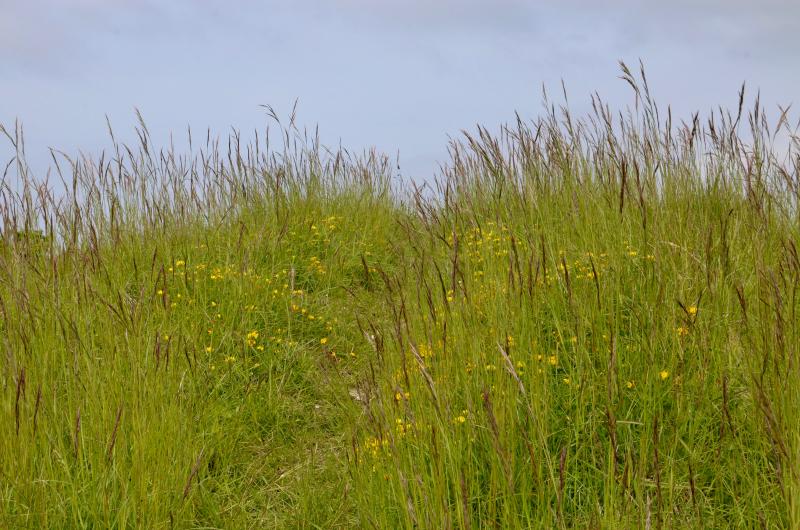 Easton Ridge National Park Tours