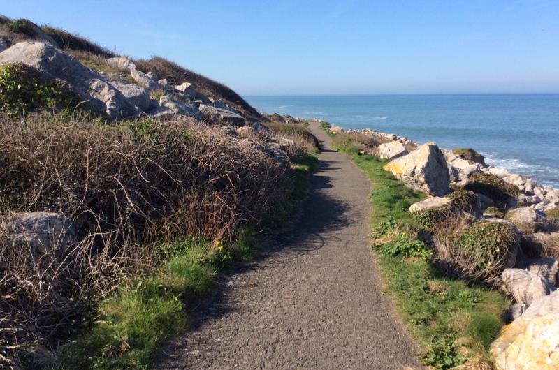 A pathway on Portland